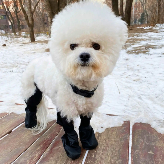 Dog Boots Waterproof Anti-Slip
