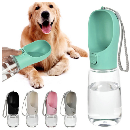 Pet Water Bottle