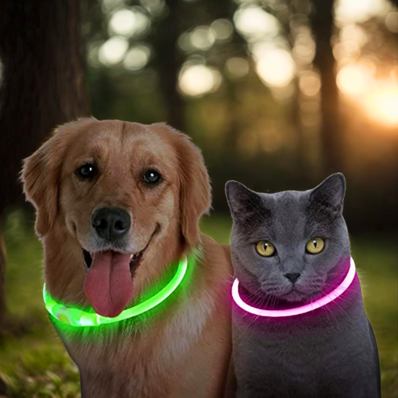 Safety & Lights