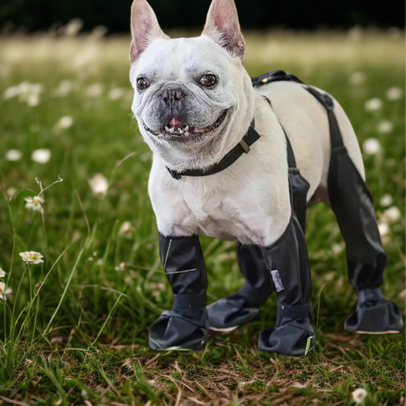 Dog Boots Waterproof Anti-Slip