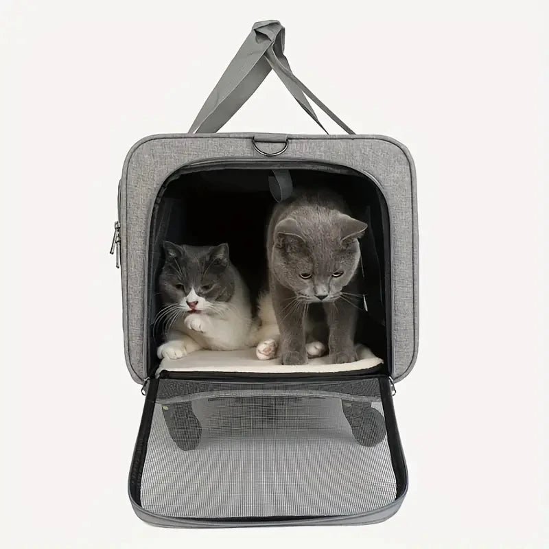 Two cats inside a gray pet carrier on a white background