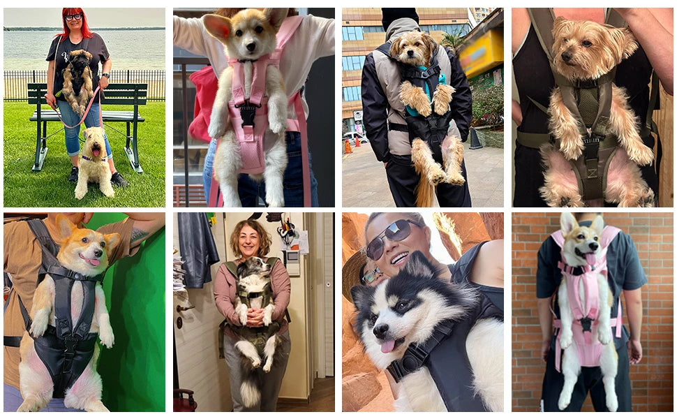 Dog Carrier Backpack