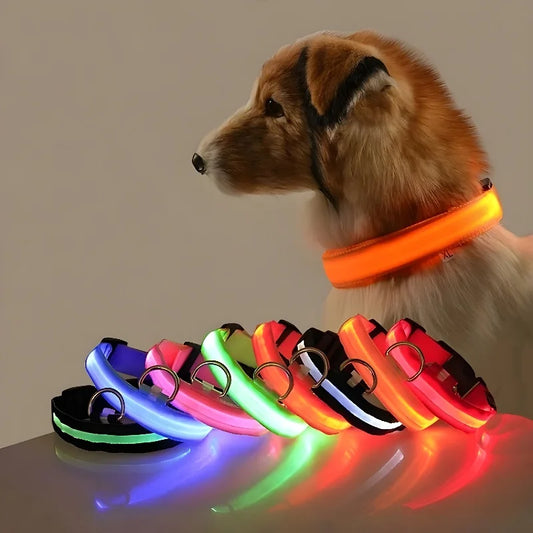 LED Dog Collar – USB Rechargeable, Waterproof & Night Safety Light